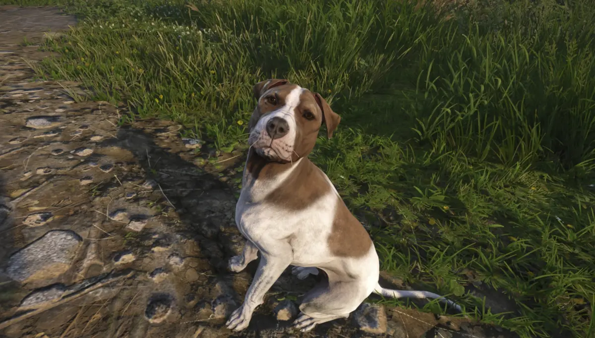 Kingdom Come: Deliverance 2 – Reuniting with Your Loyal Companion, Mutt